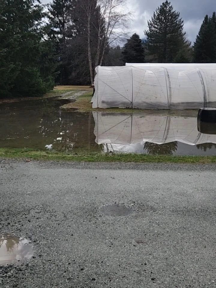 Because I think it's important we show the real effects of extreme weather - which is becoming more commonplace due to climate change - on farming and farmers.

This is after our recent "atmospheric river" event. And of course, we are extre