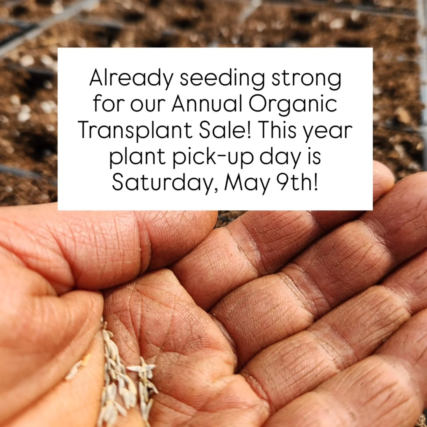 📢 This is no April Fool's - seeding for our Annual All-Organic Transplant Sale is well under way, and we will have loads of amazing plants to help you get your garden off to a strong start this year!

🌱 Plant pick up day is on Saturday, May 9th thi
