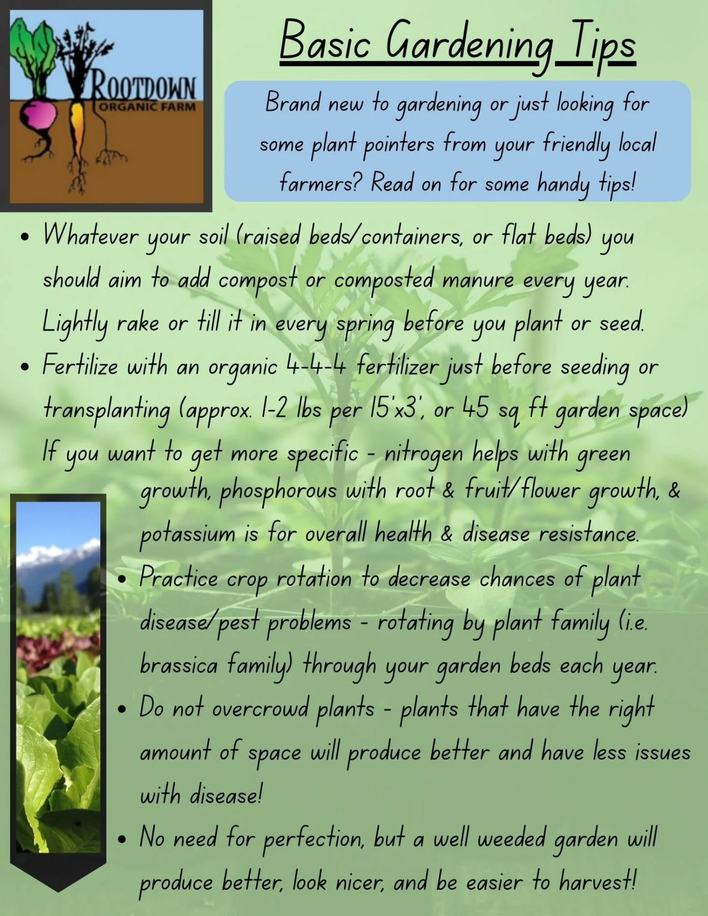 📢 We wanted to share a few gardening tips this year, leading up to our Transplant Sale - just friendly tips from your farmers 👩&zwj;🌾👩🏼&zwj;🌾 to help you grow the best garden!

🌱 Today we'll start with some general tips, and then get into more