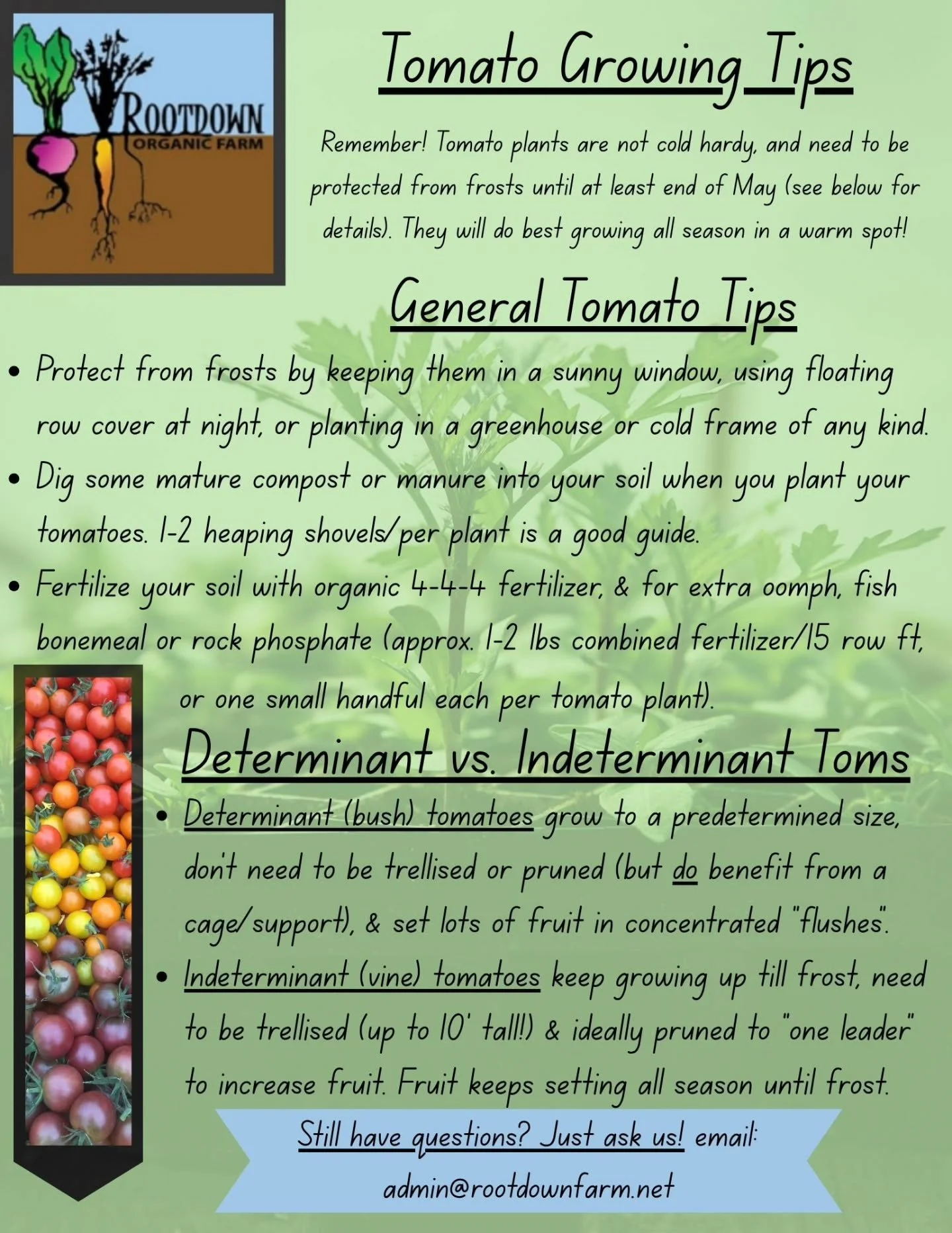 🍅 We obviously grow lots of tomatoes starts for our Transplant Sale (because there's nothing better then a homegrown tomato, botanically speaking) - here are a few tips for growing great tomatoes!

#rootdownorganicfarm #certifiedorganictransplants #
