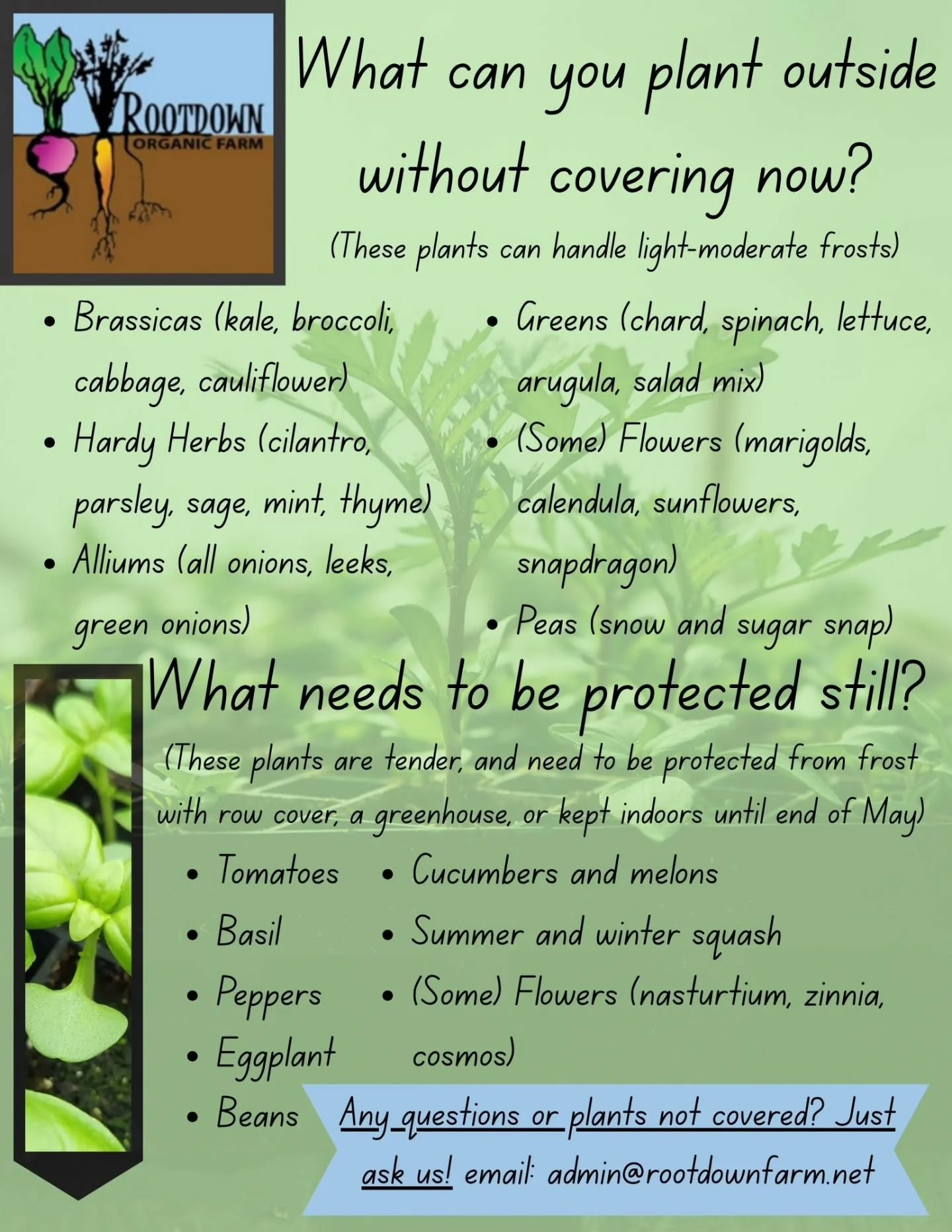 🌱Our All Organic Transplant Sale is tomorrow!🌱

When: 10am-2pm, May 9th
Where: 7717 Pemberton Meadows Rd

Come pick up your pre-orders, OR shop walk-in sales if you missed the order window! We have a good selection for walk in sales still (even tho
