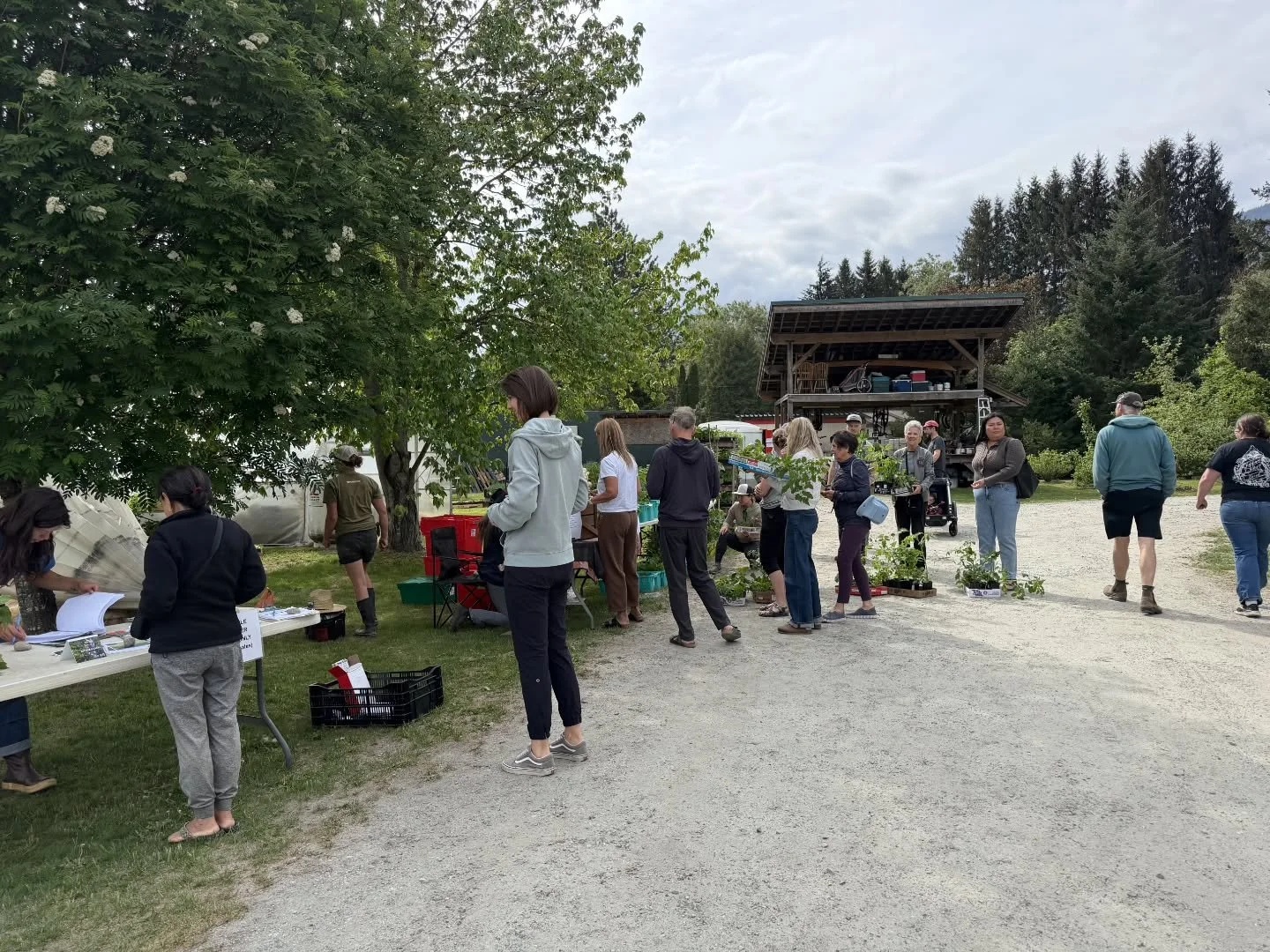 Wow, what a great plant sale yesterday!

The community came out in force to stock up on seedlings, and we couldn't be happier 🌞

Thanks for your patience if you came when we had long lineups, and thanks for all your support!

If you missed us, or ju