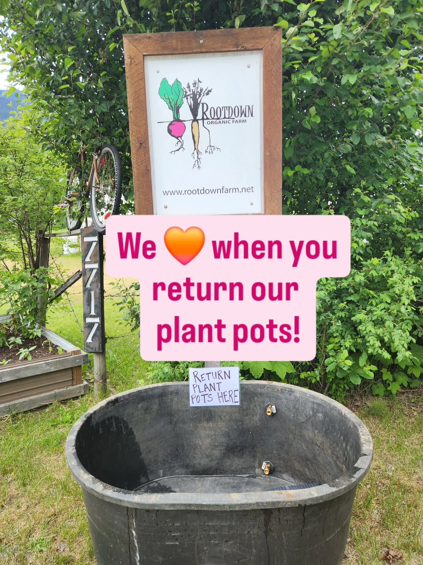 Did you buy plants from our Transplant Sale last week?

Well if so, we LOVE ❤️ when you return the plant pots - especially the 4" and larger pots (i.e. the tomato and pepper, or rhubarb pots). In an effort to reduce plastic waste, we will use an