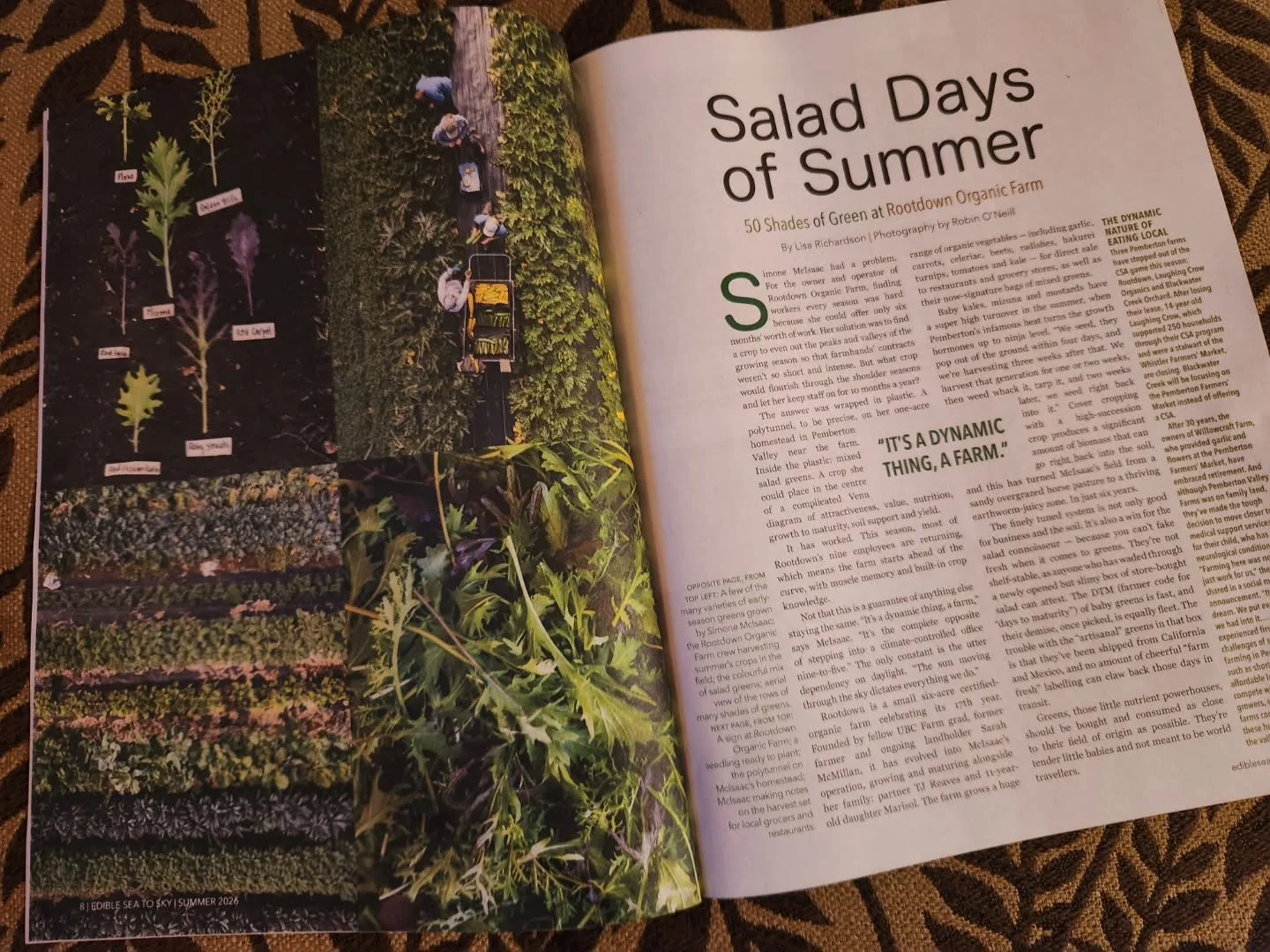 We're grateful to @pembygrl  for writing this swell article on Rootdown Farm - in particular highlighting our signature salad mix - for @edibleseatosky magazine! 

Thanks also to @robinoneill for her amazing photos 🙌

The work we do is hard, but fun