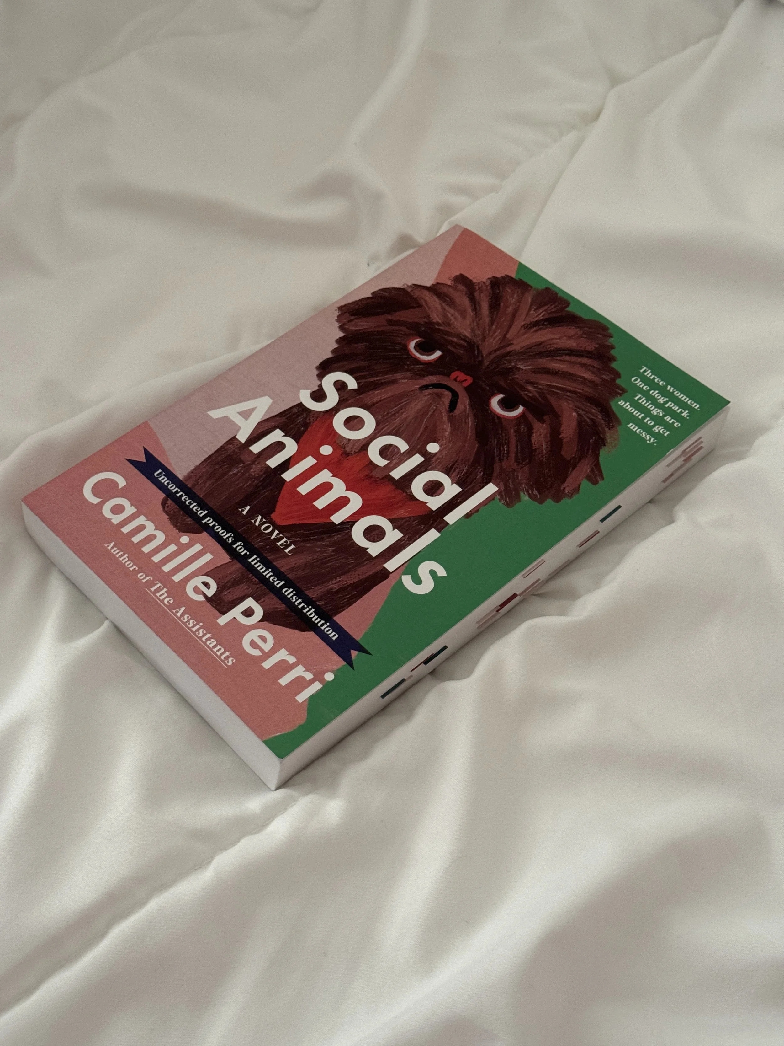 ARC Review: Social Animals  by Camille Perri