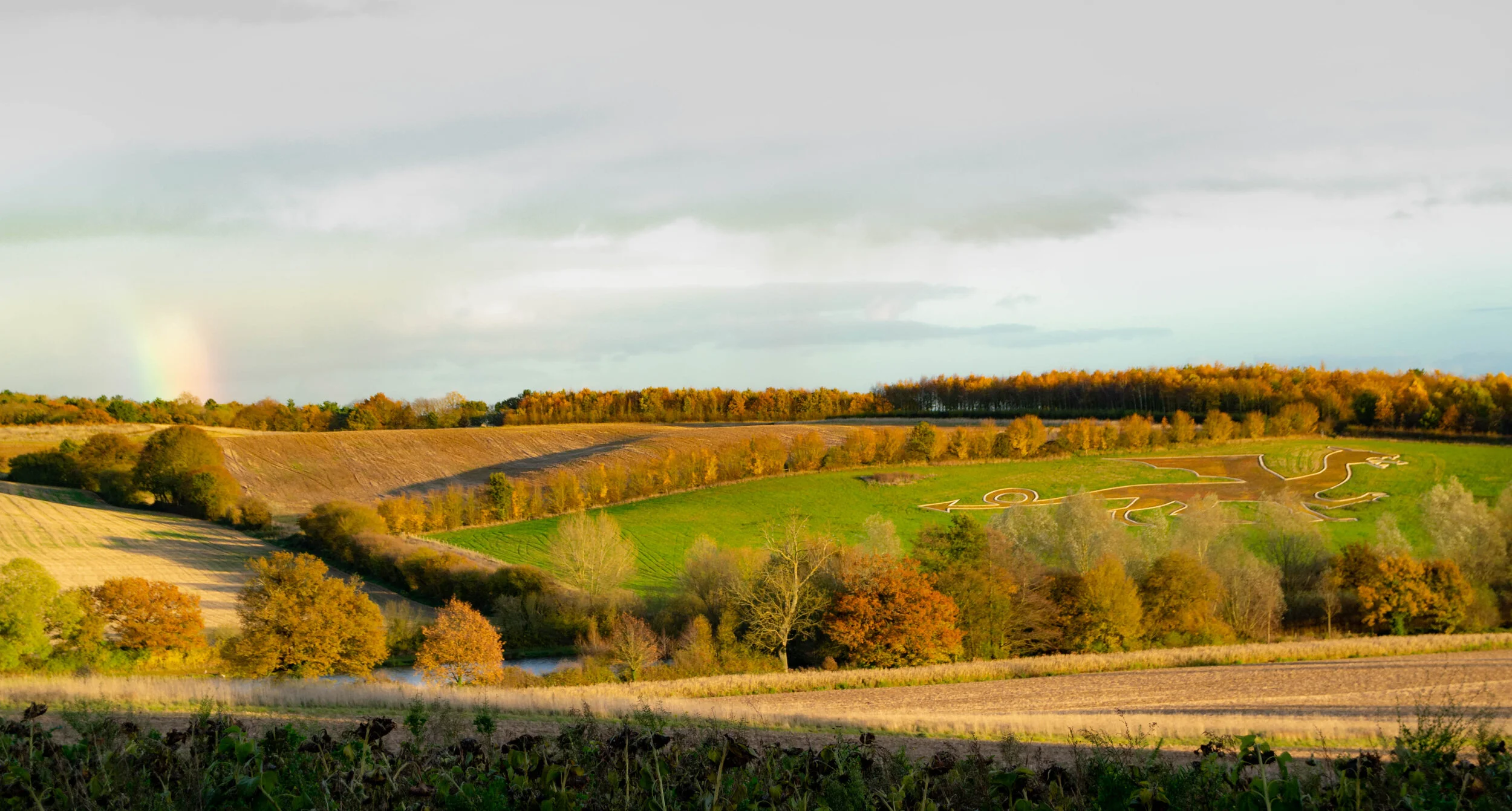 The Bures Dragon with raindow.jpg