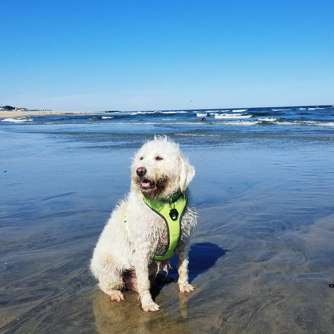 🏖