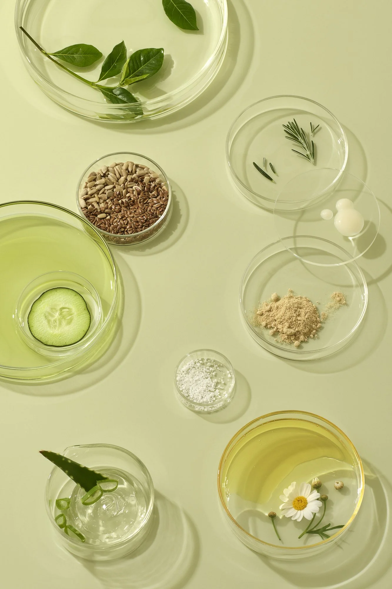 260428_Barefaced-Lab_Ingredients_001.jpg