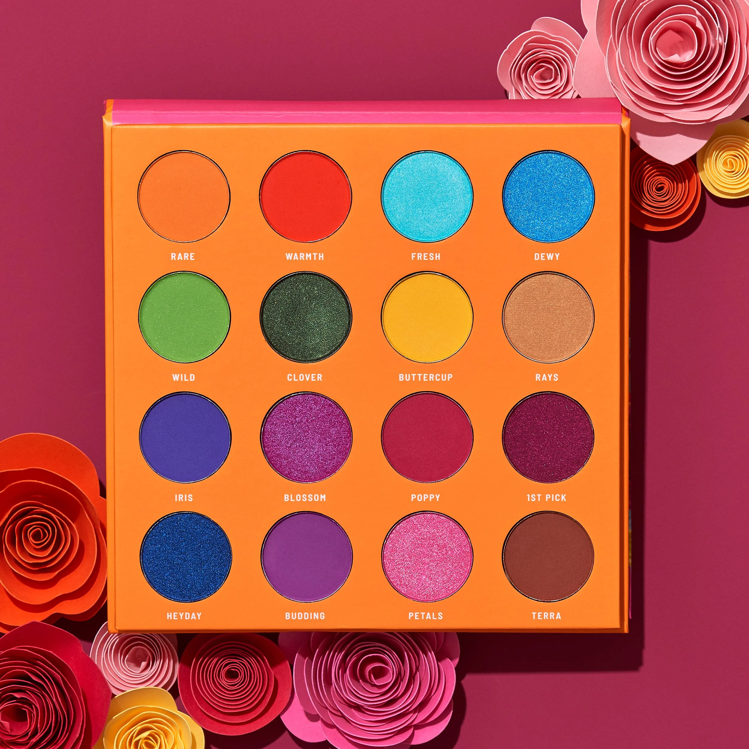 ColorStory-010-_MEG6936_crop_match.jpg
