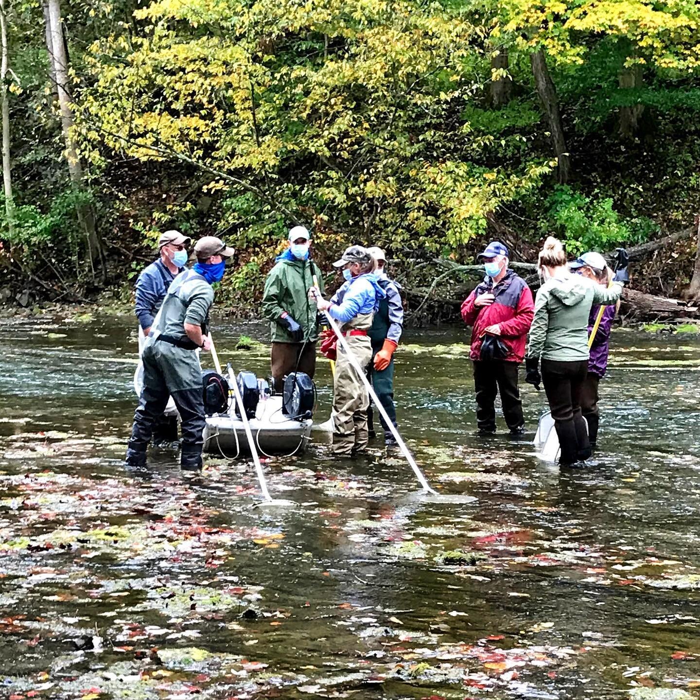 Join us tonight on zoom for our January TU meeting.  Matt Sanderson, NYS DEC Senior Aquatic Biologist will be updating us on the most recent Oatka and Spring Creek electrofishing completed last fall.  Register on our website!  Hope to see you there.