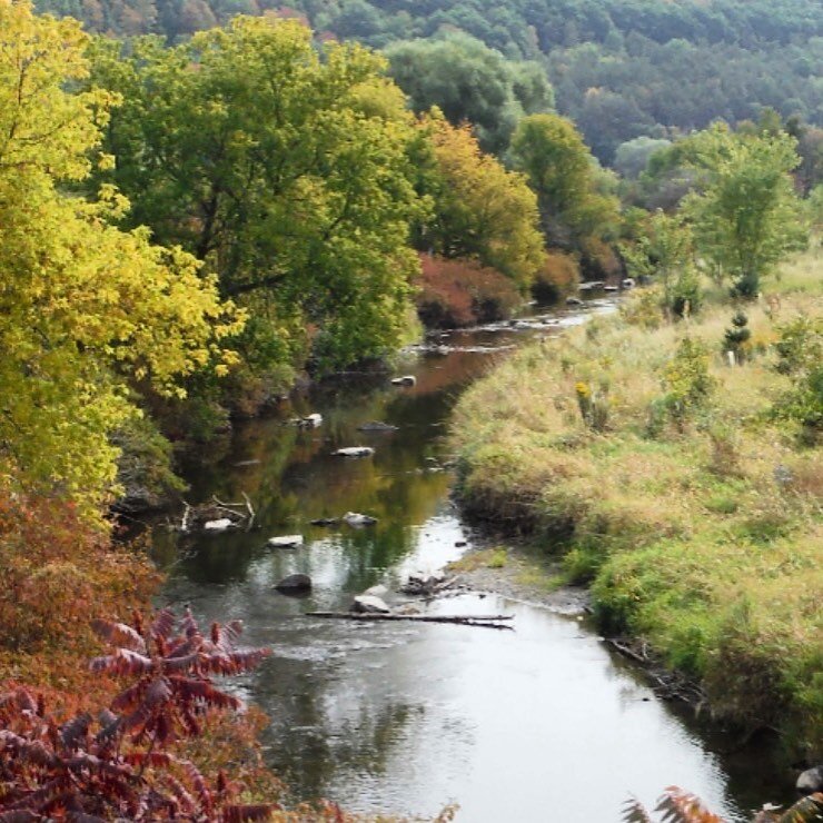 Seth Green TU is supporting Canandaigua TU with their restoration project on the Cohocton River. You can join in by clicking on the link in our profile.