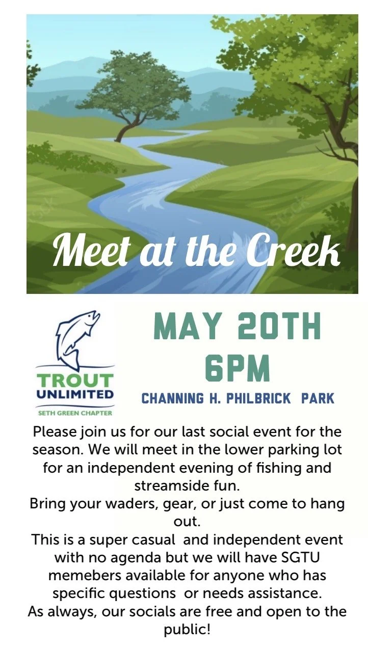 Meet at the Creek