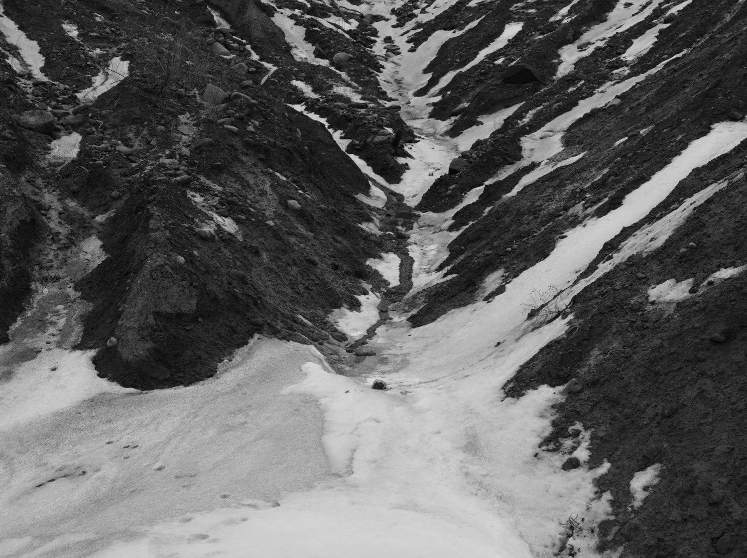 adamdesorbo-images_40-Screenshot_2026-02-23_at_2_12_11_PM (1).jpg