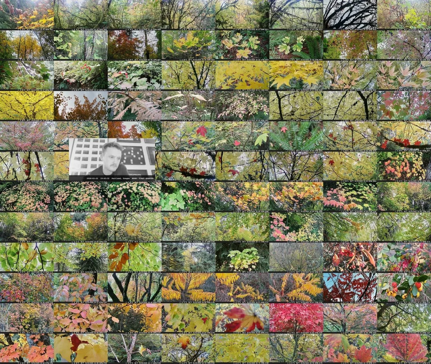 adamdesorbo-images_07-forest-witness-35 (1).jpg