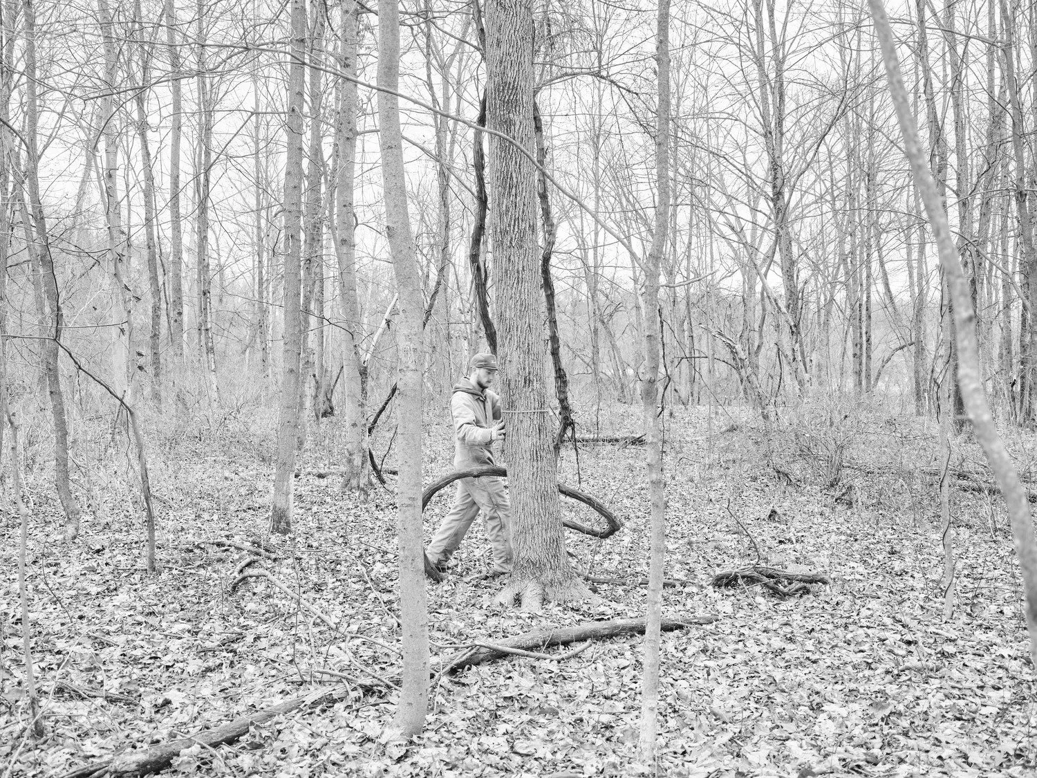 adamdesorbo-images_37-logging_11 (1).jpg