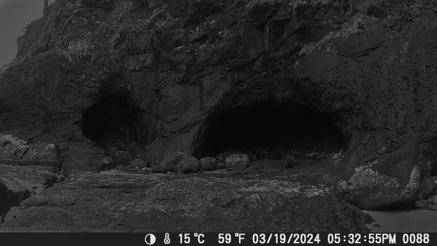 adamdesorbo-images_21-coast_3 (1).jpg