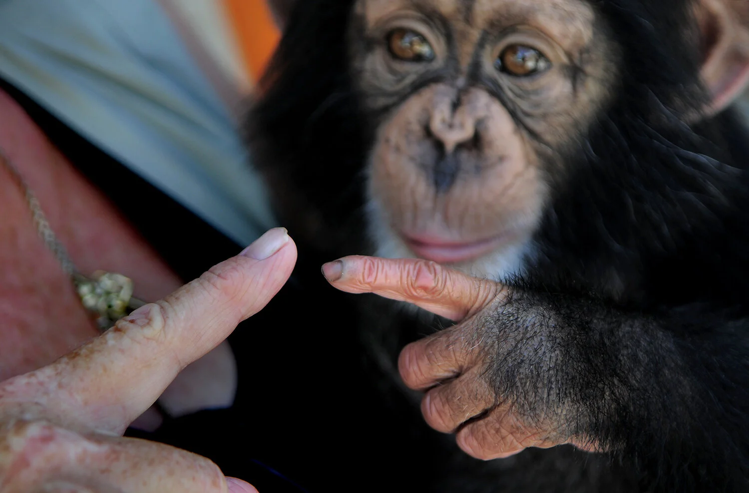 Wagner Visuals - Wildlife Photographers in Florida