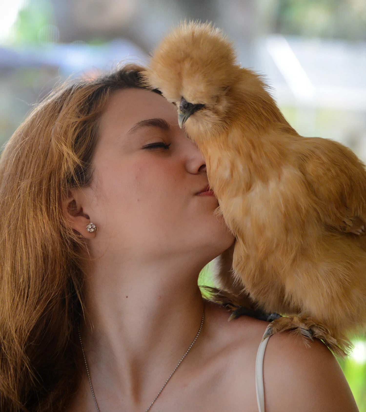 Wagner Visuals - pet portraits south florida