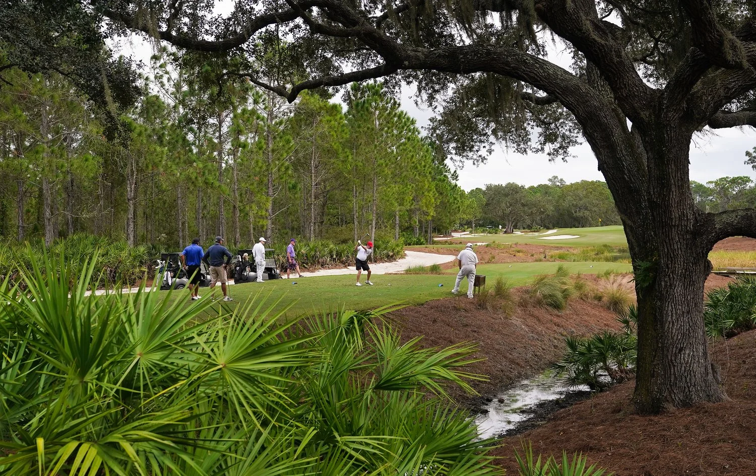 GolfSamples-020.JPG