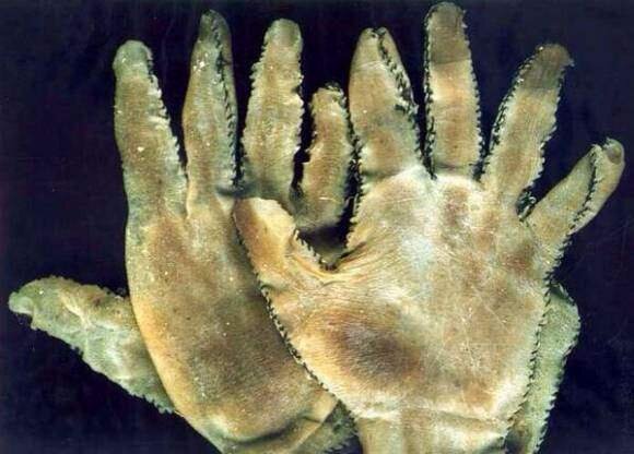 Skin gloves