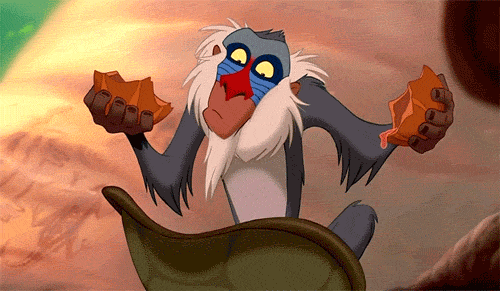 Rafiki-ing