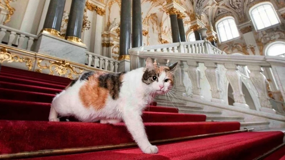 Hermitage Cat