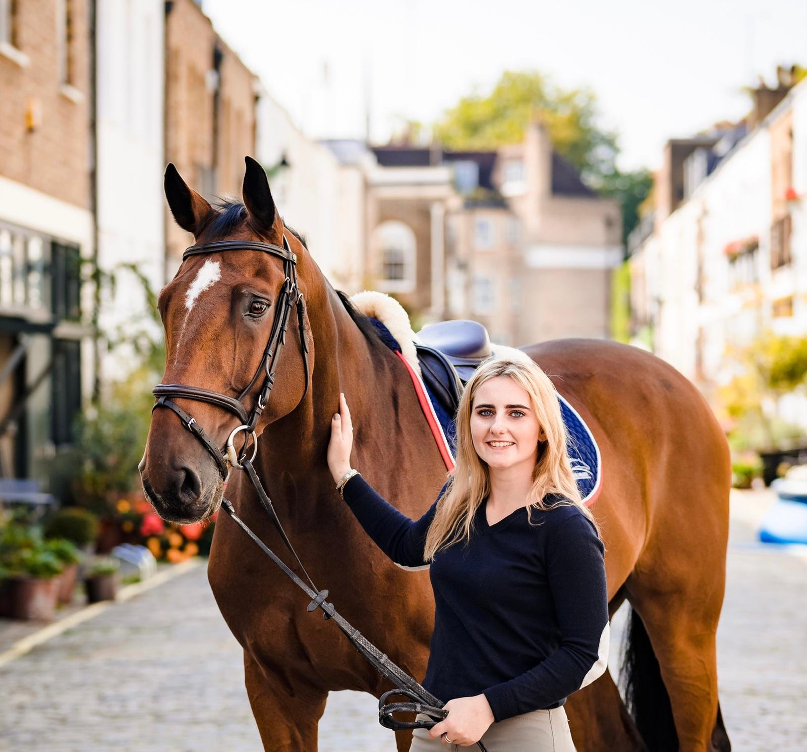 MH Sport Horses Show Jumping Horses for Sale