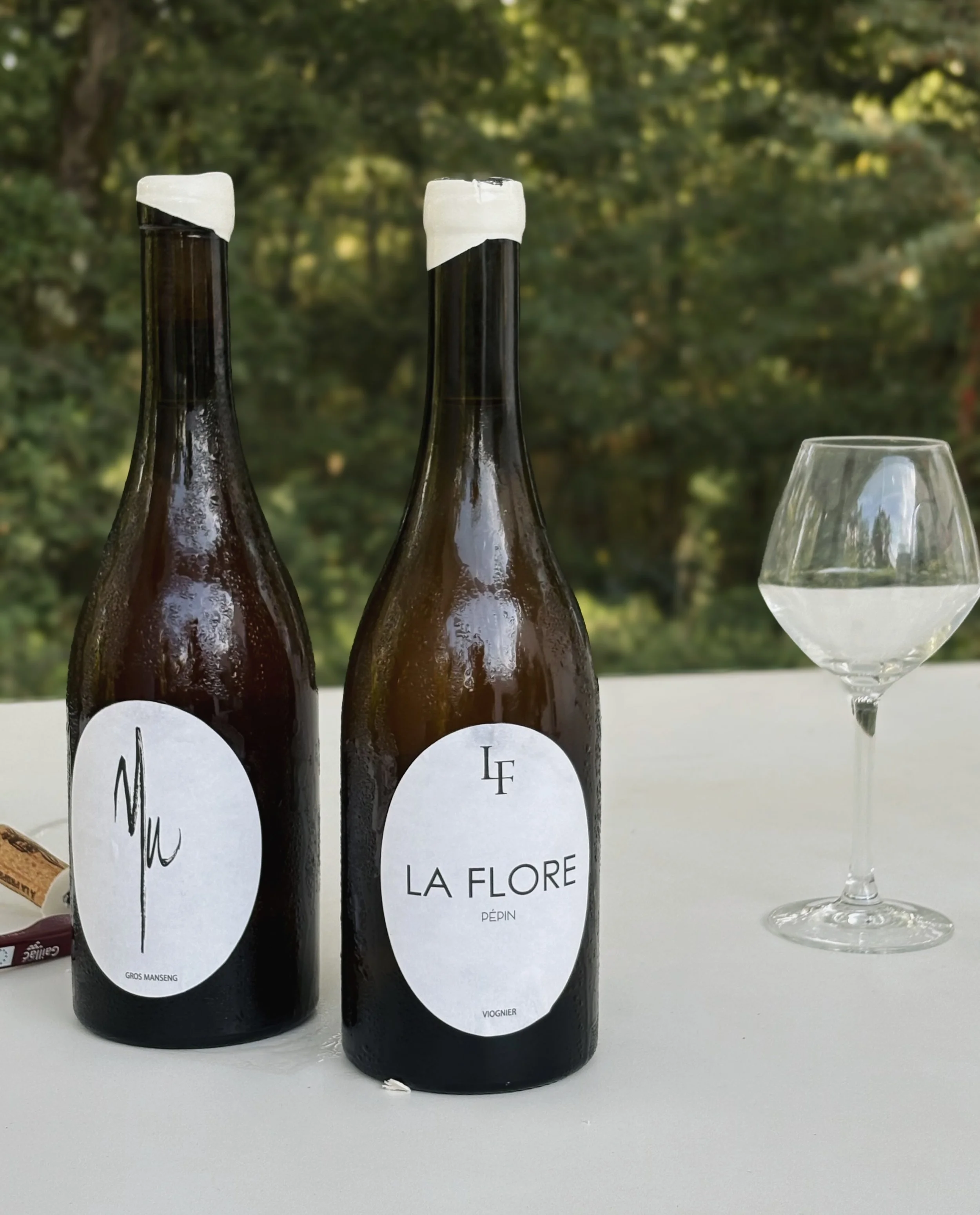 Sumptuous surprise 😋 Tasting with neo-vigneron Yannick Capgras @domaine_la_flore right here on home turf in the #tarnetgaronne 🏡

Yannick inherited this piece of land (a lieu-dit serendipitously called La Flore) from his grandfather Pierre (aptly k