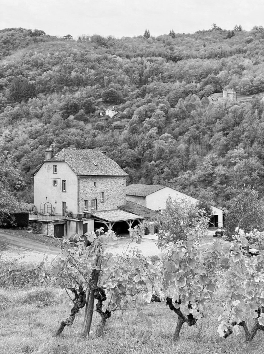 https://www.vinetrail.co.uk/growers/domaine-des-buis/domaine-des-buis-entraygues-le-fel-marin-deau-douce