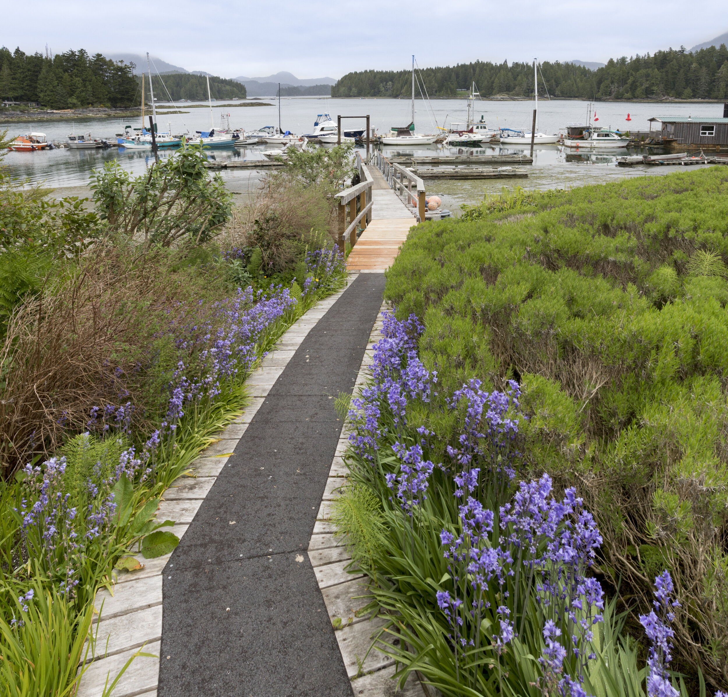 Tofino Swell Lodge.jpg