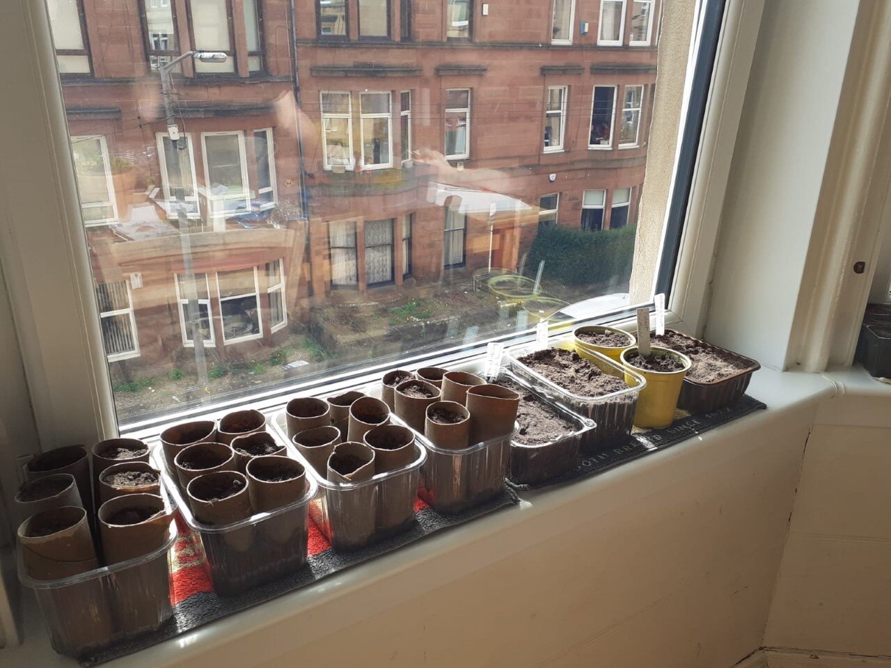 Seed sowing- window.jpg