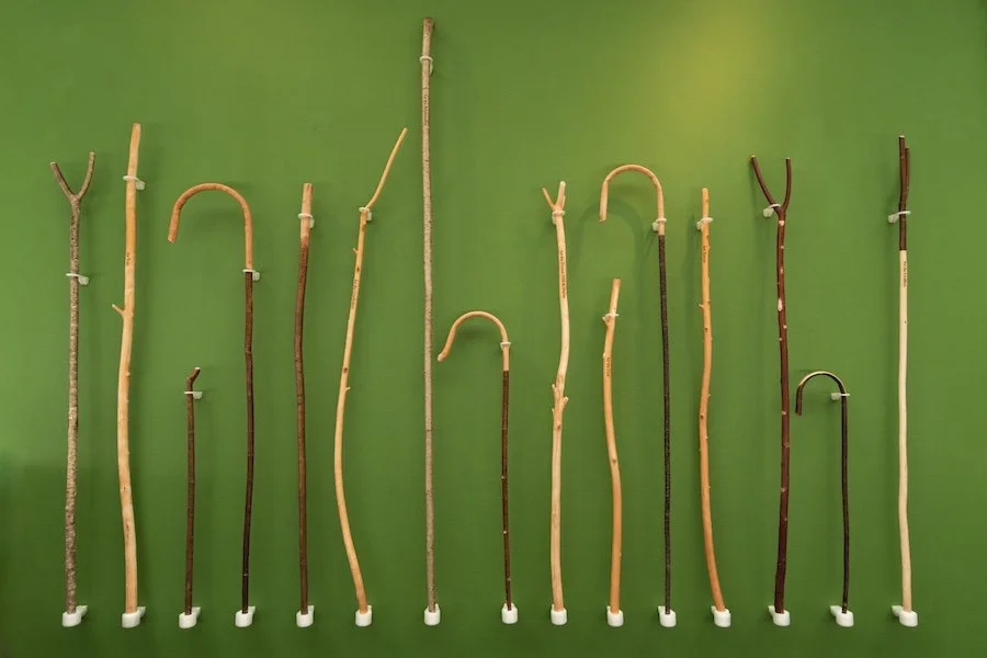 Where We Stand. An exhibition about Scotland's community ownership journey over the last 100 years… and where we go next.