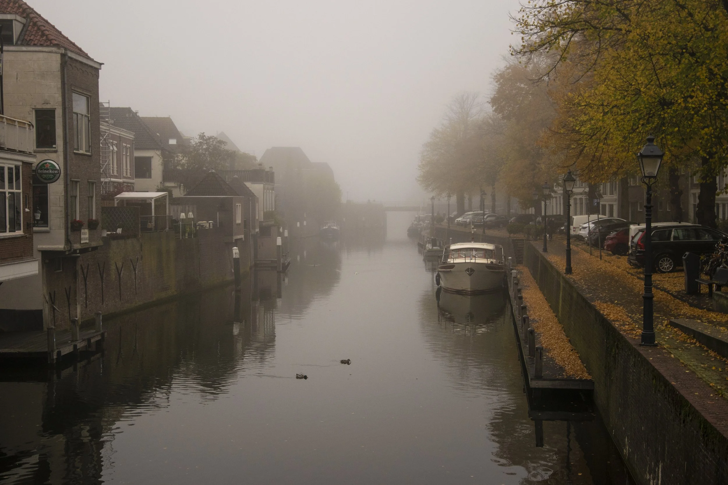 DSC_1583_herfst.JPEG