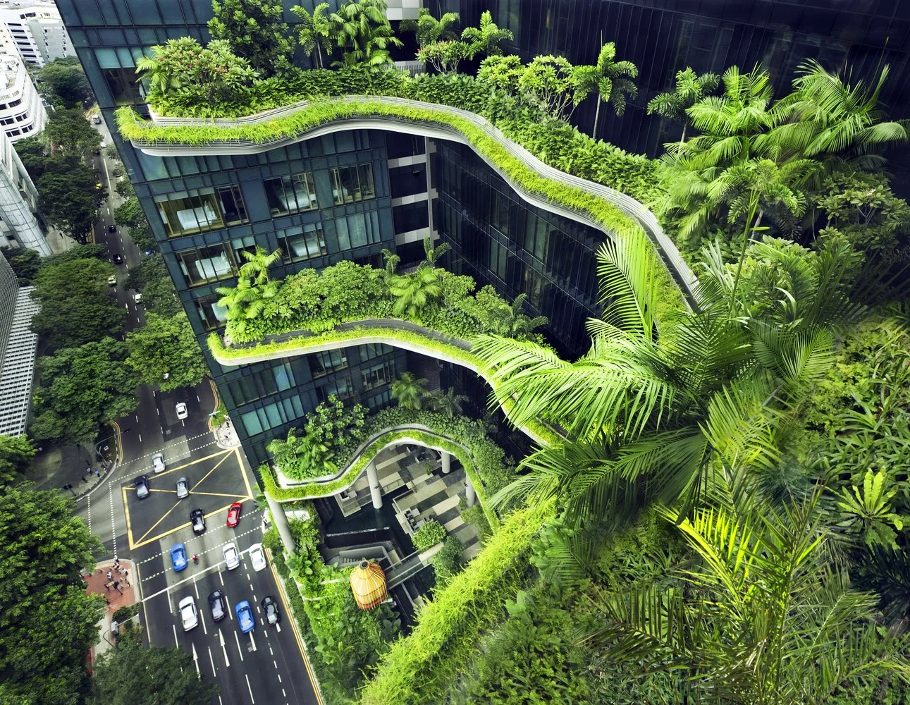Lessons on Greening and Climate-resilience from Singapore