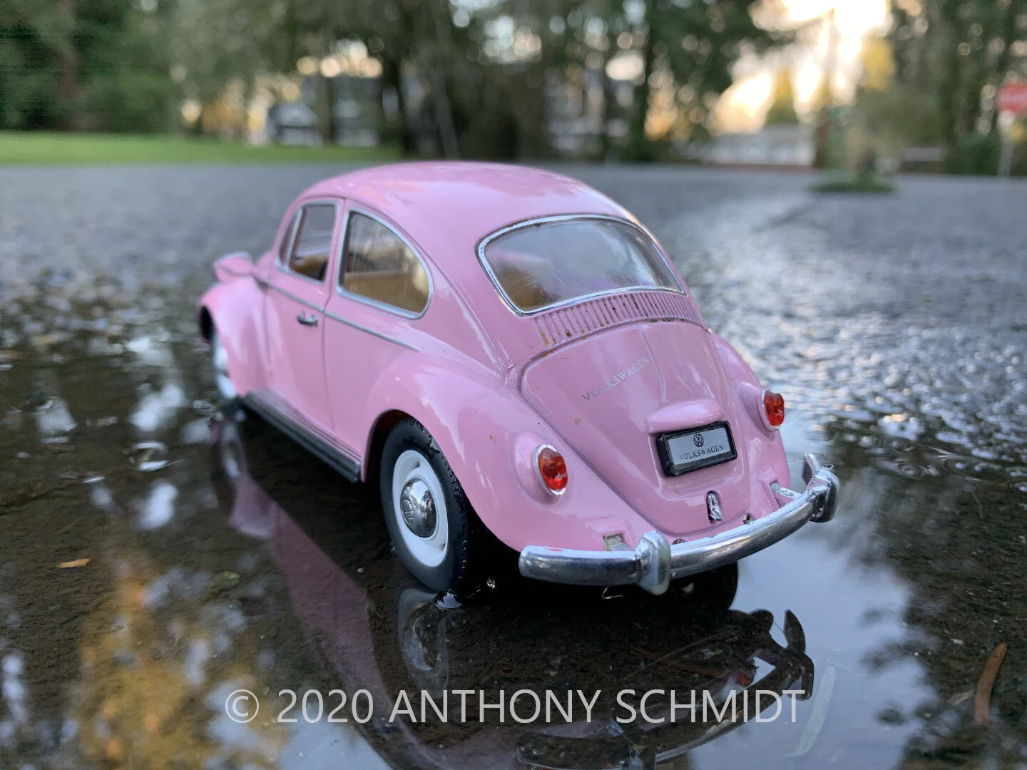 Pink65VWBeetle.jpg