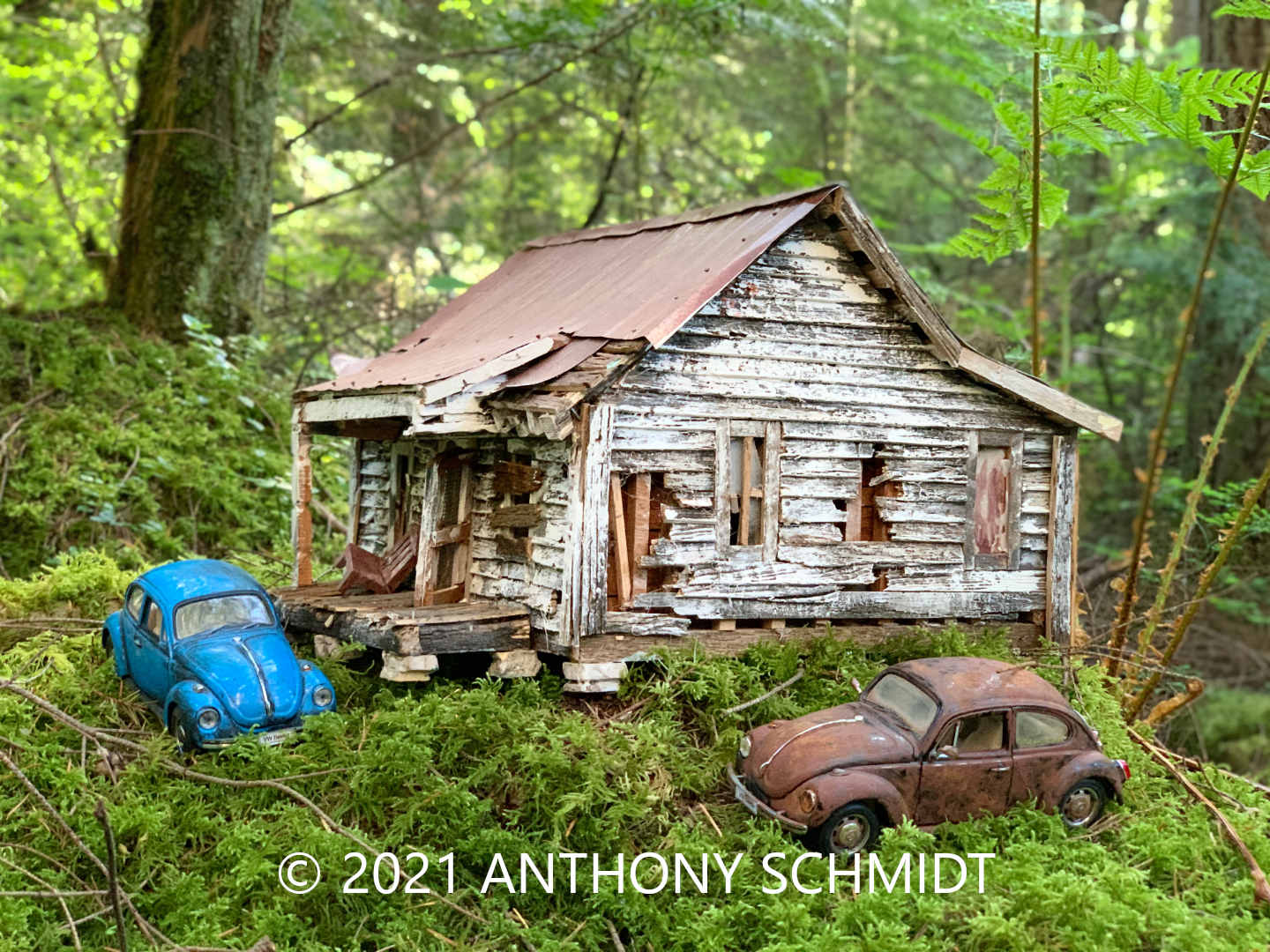 Beetles at the cabin.png