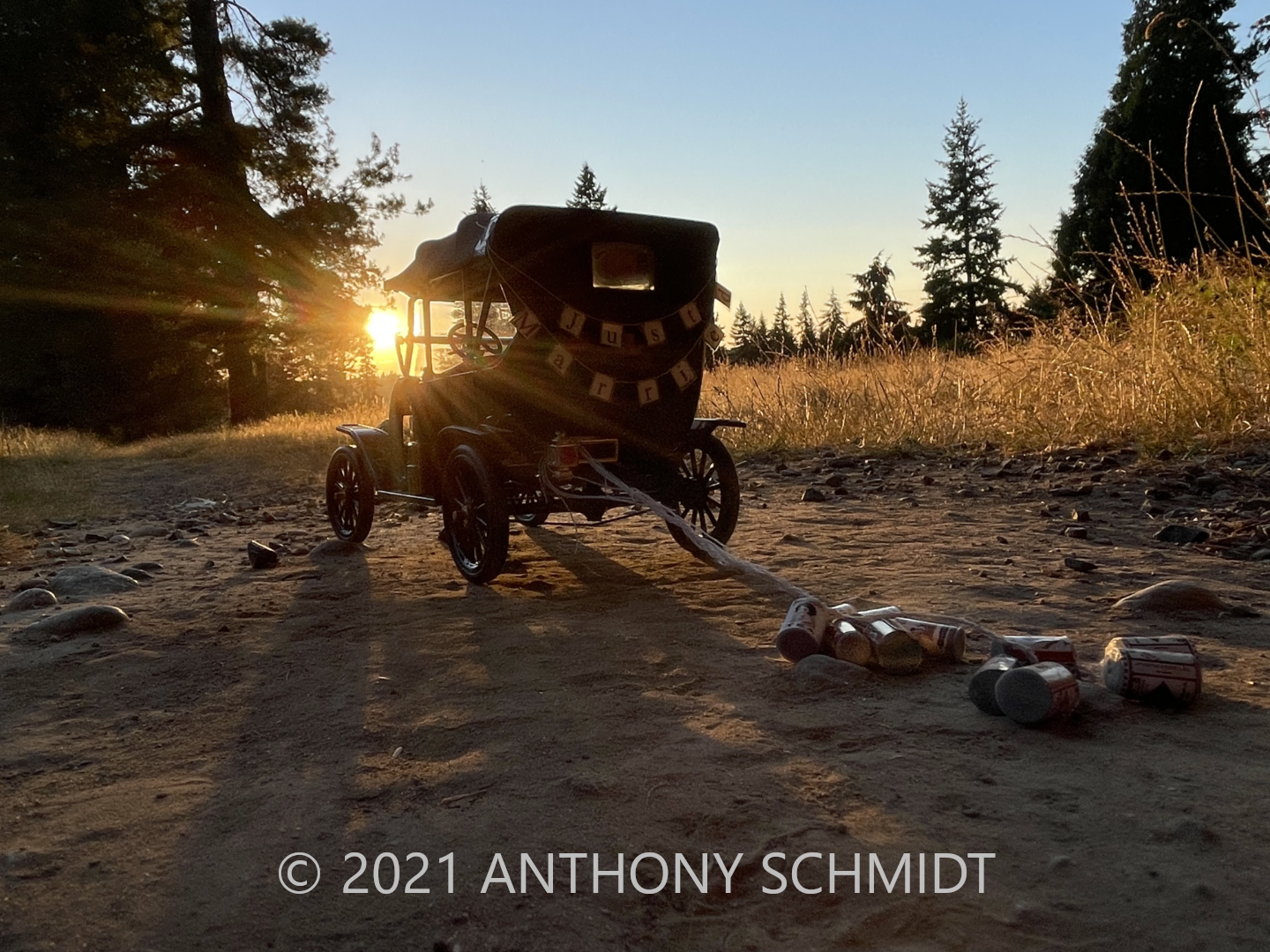 Model T Just married.png