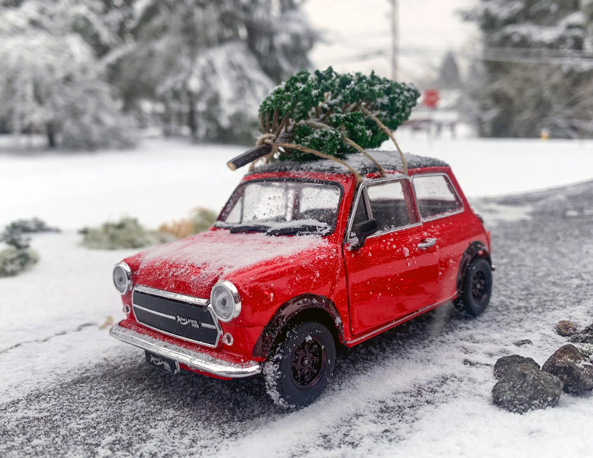 4 December2021BB.jpg