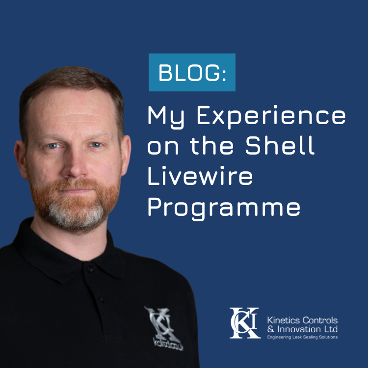 My Experience on the Shell Livewire Programme