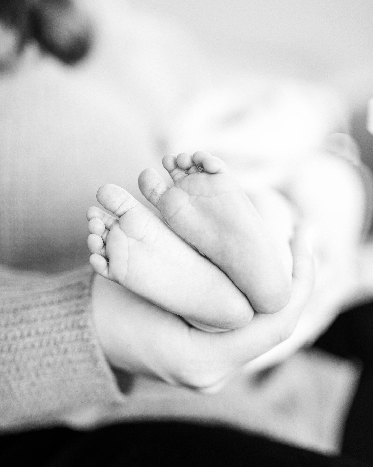 Sweet little baby toes. 

I love capturing these types of detailed images of newborns. Your baby grows so fast; that's why capturing the tiniest little detail like fingers, toes, and noses means so much. 
.
.
.
.
.
.
.
.
.
.
.
#newhampshirenewbornpho