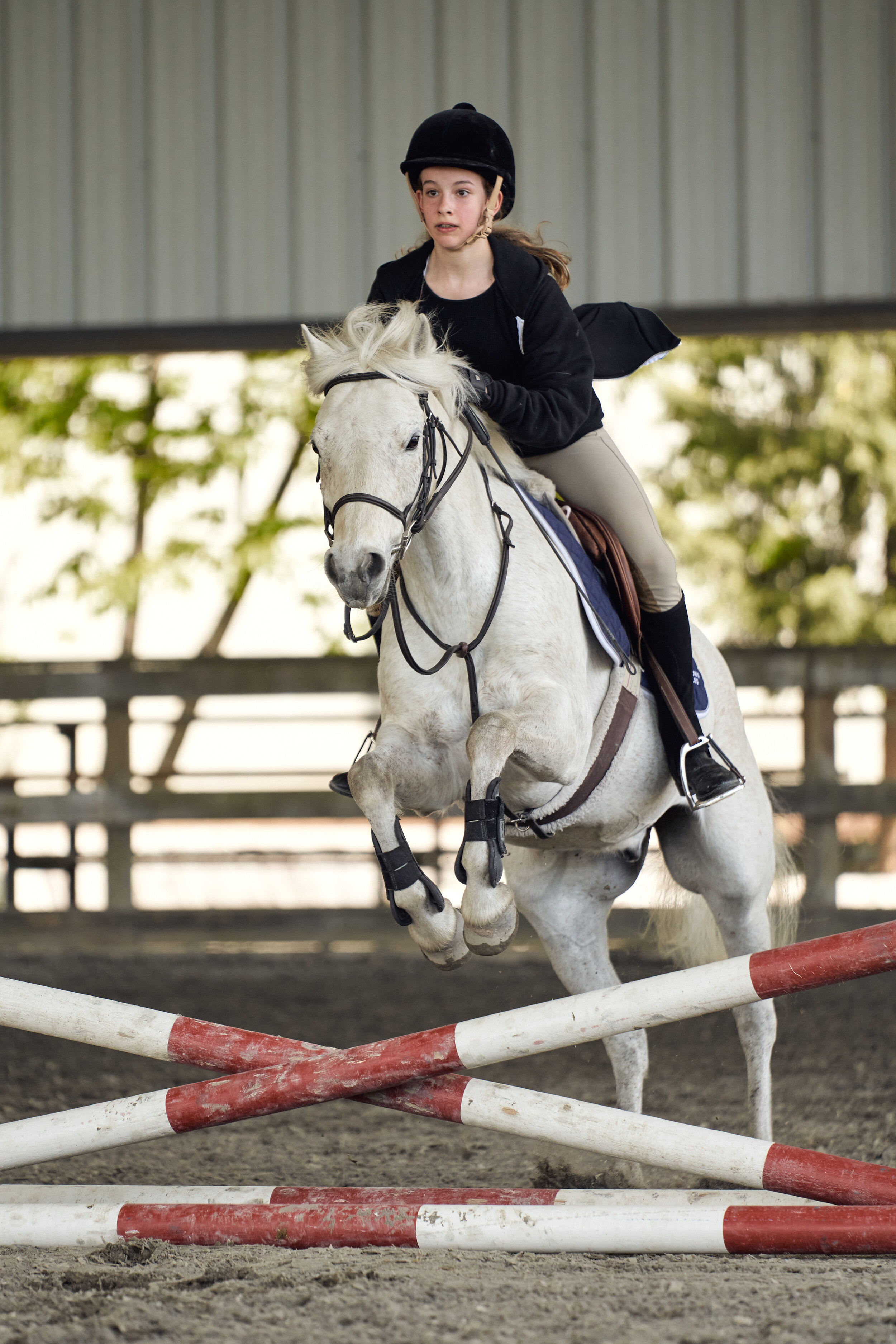 2020-05-14_sparki_a7r3_0188.jpeg