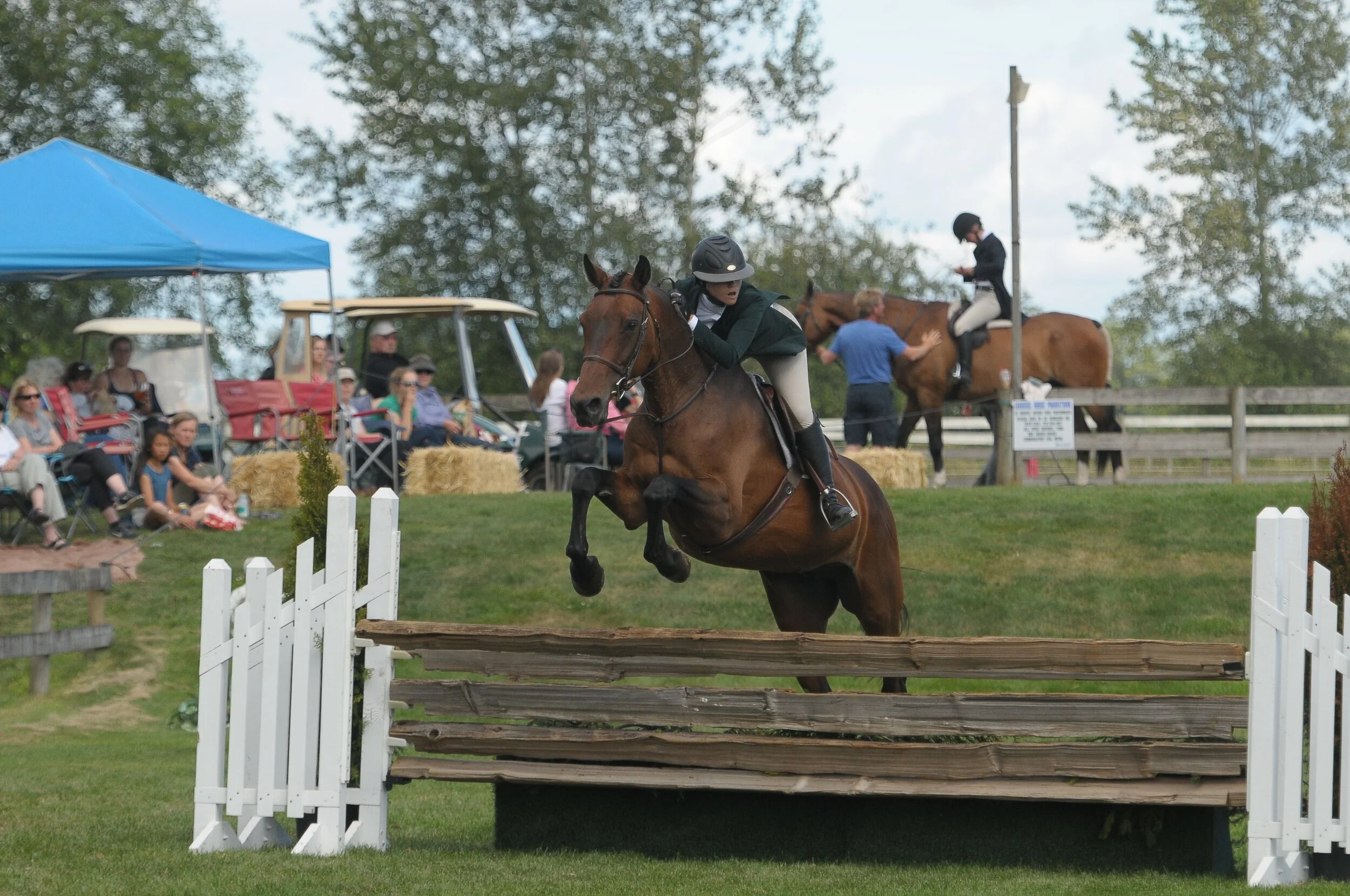 Lessons & Training — Collingwood Stables