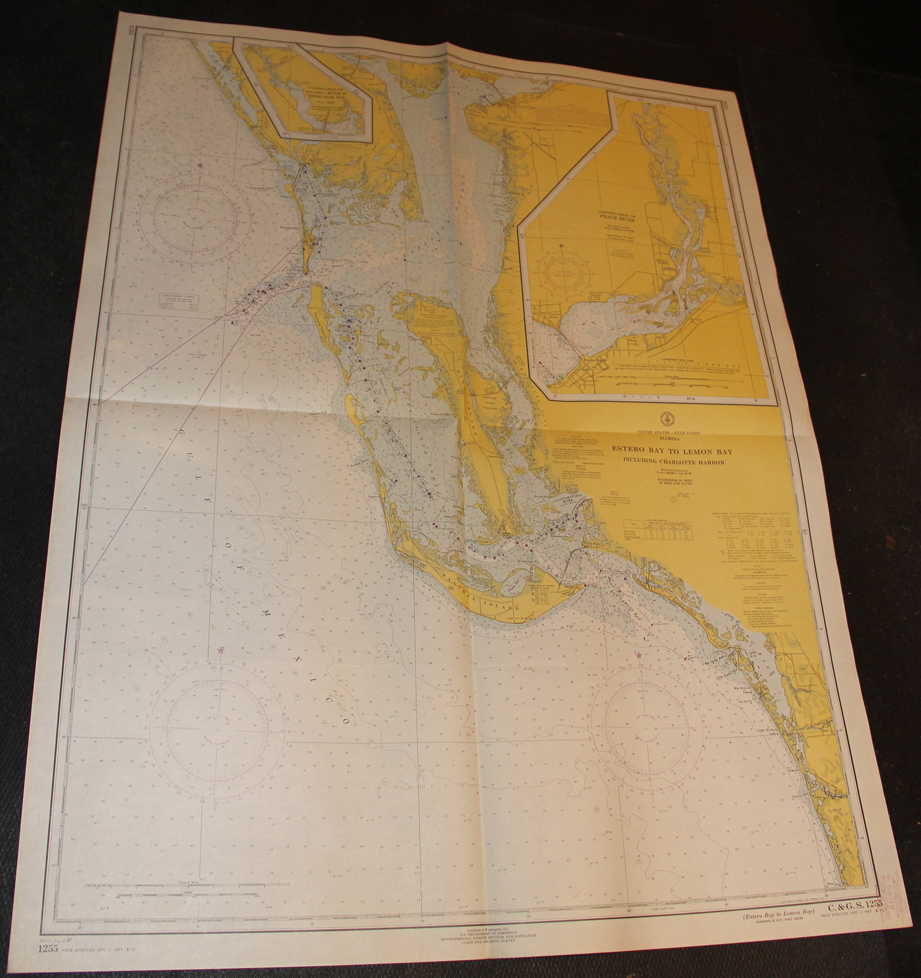 Estero Bay to Lemon Bay.jpg