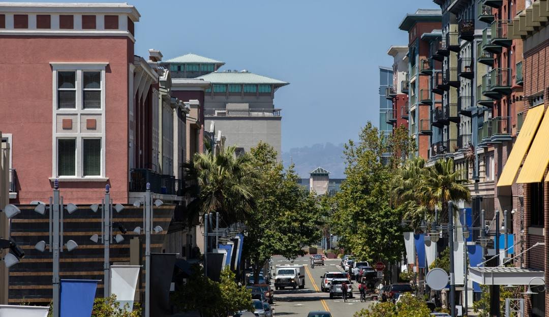 Downtown Fremont street with shops, apartments, trees, and palm trees in Fremont, California