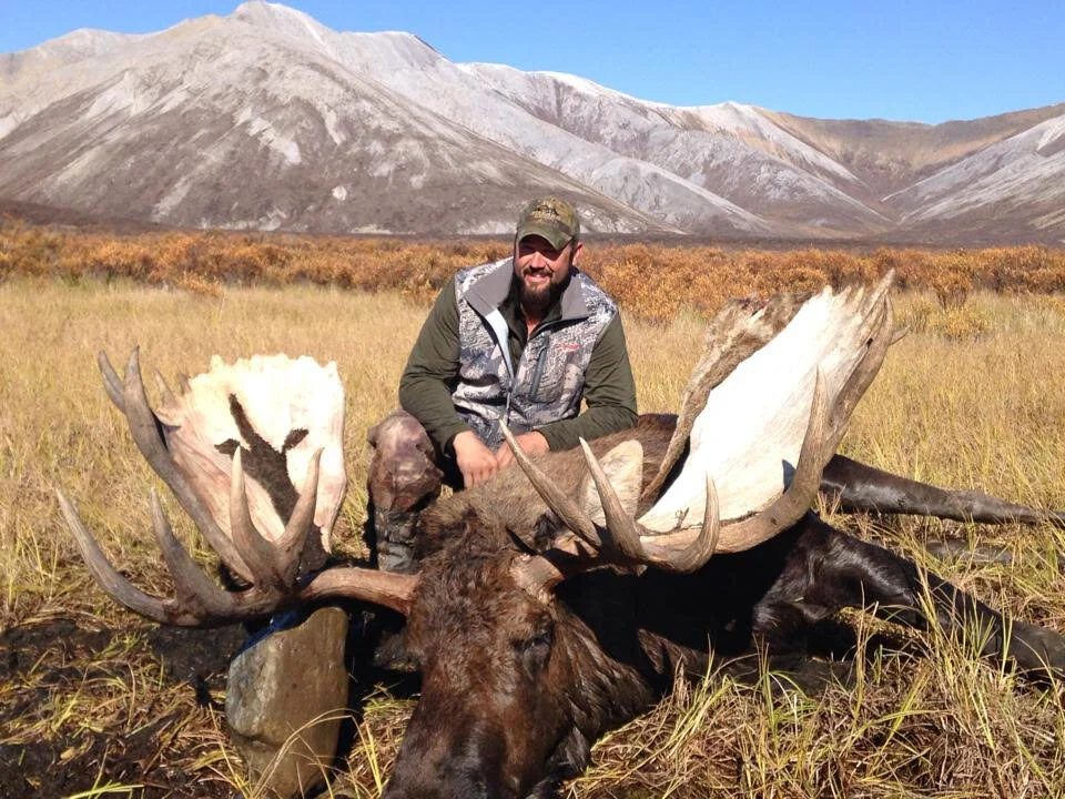 2014-moose7.jpg