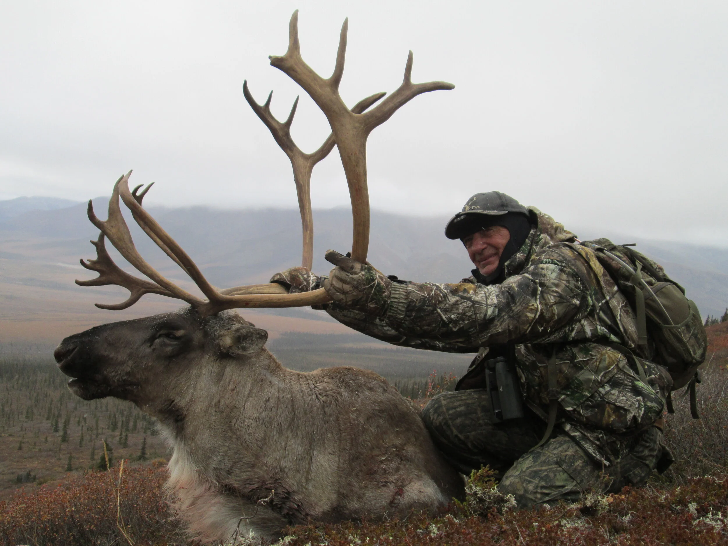 2013-caribou12.jpg