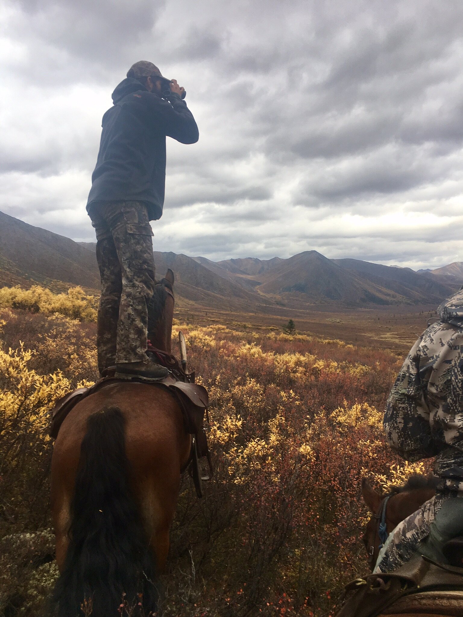 Midnight Sun Safaris – Alaska's Foremost Horseback Outfitters