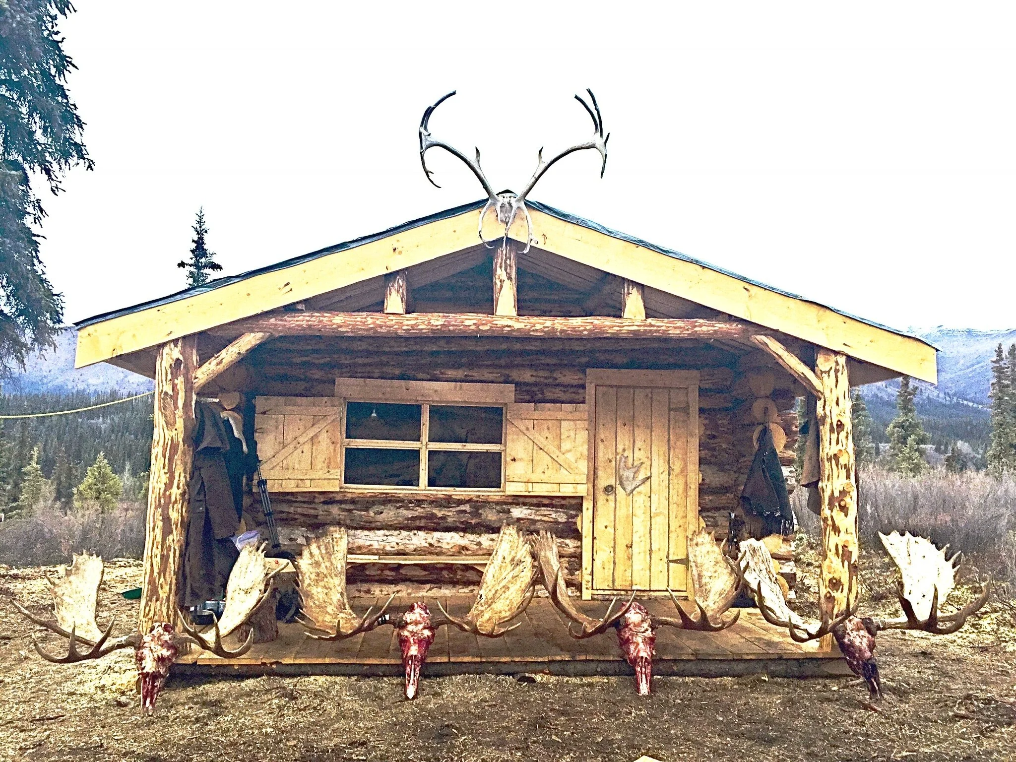 Logan Young - 98148EC5-355C-497A-990A-6A6BE9F5806B.jpeg