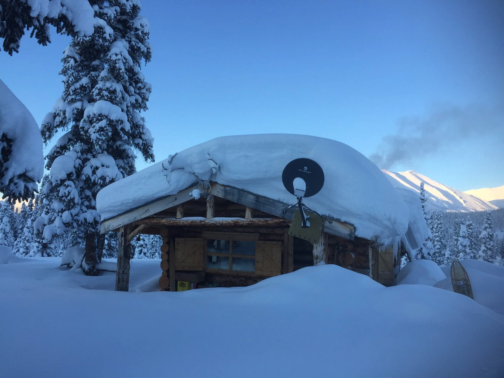 Logan Young - FE156016-5C46-4437-A00A-E5C6BA6EB4E6.jpeg