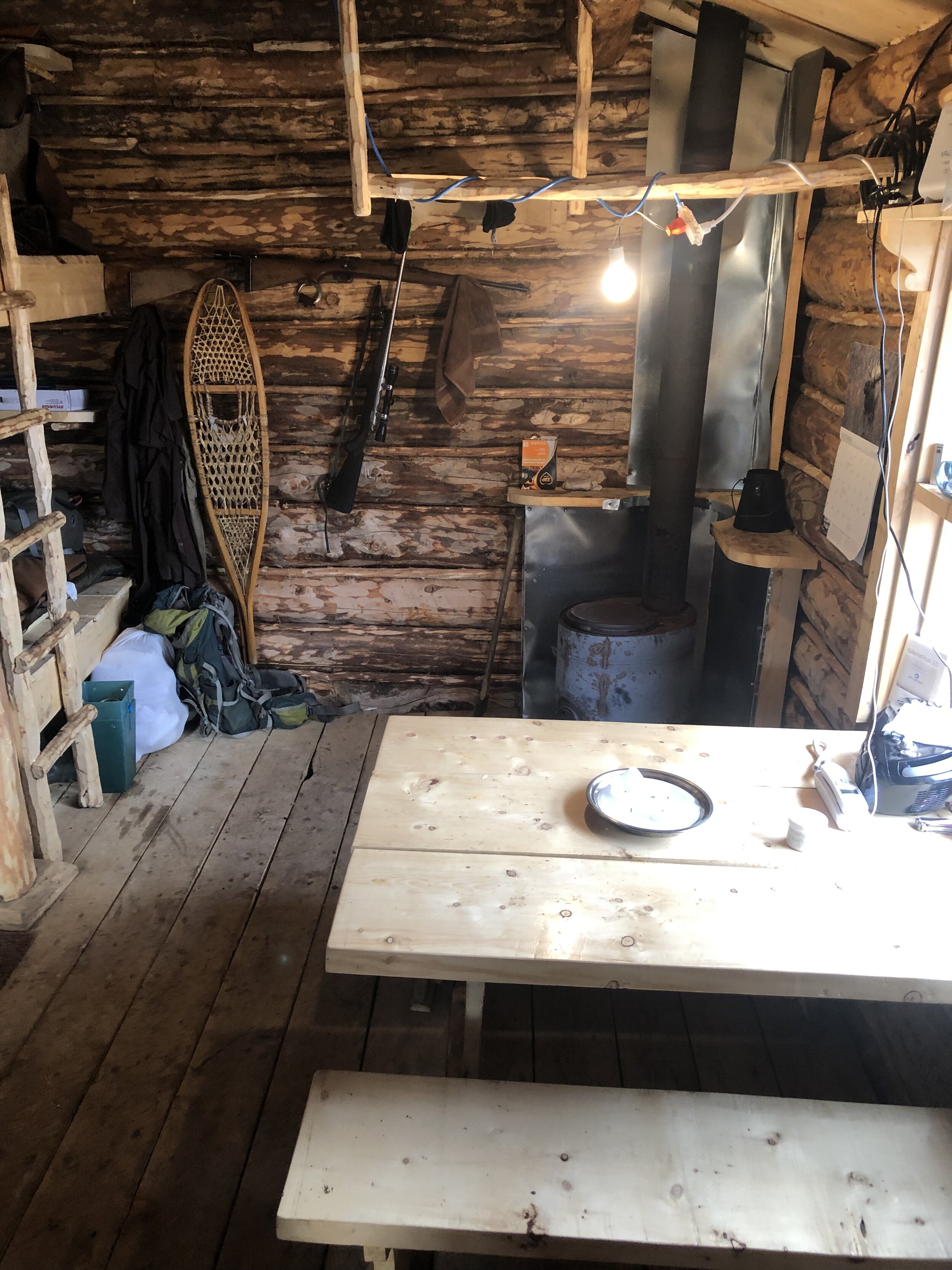 Logan Young - 4AB5D012-C7A4-484C-962F-CA589317FFD5.jpeg